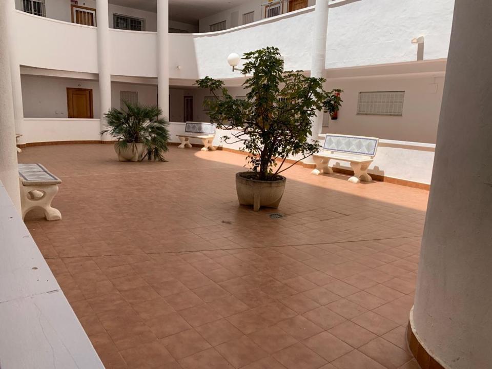San Luis Διαμέρισμα Τορεβιέχα Εξωτερικό φωτογραφία